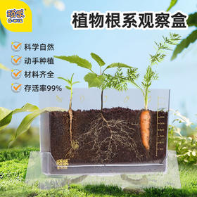 【全方位看见根茎叶成长的教具】GWIZ顽学植物根系种植生态观察盒 四季种植不挑时间 有阳光就能播种 解锁植物成长的奥秘