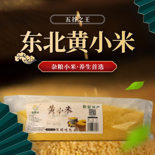 乾稷谷东北黄小米1kg/袋 商品图0