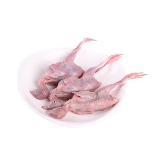 鹌鹑  4只（杀好）（今日预定，明日送达，预定商品无品质问题，不退货不换货不退款） 商品图0