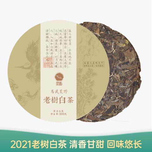 【会员日直播】老树白茶 2021年云南白茶  357g/饼 买一送一 买三送四 商品图0