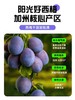 含羞草加州无核大西梅500g 商品缩略图3