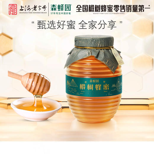 森蜂园椴树蜂蜜1kg 商品图0