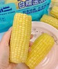 巴萌关小二黄金玉米段，来自巴彦淖尔河套平原，口感确实不一样 商品缩略图7