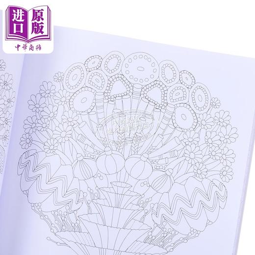 【中商原版】米莉马洛塔涂色书 奇妙生物 Millie Marottas Curious Creatures 英文原版 解压填色书 画画 商品图4