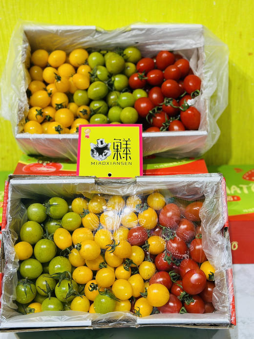 【小时达】红绿灯🚥三色千禧小番茄 商品图3