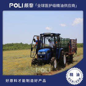 法国进口有机永久花精油 蜡菊精油原料批发 颇黎单方精油香薰