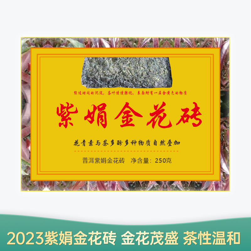 【会员日直播】紫娟金花砖 2023年普洱生茶 250g/块 买一送一 买二送三
