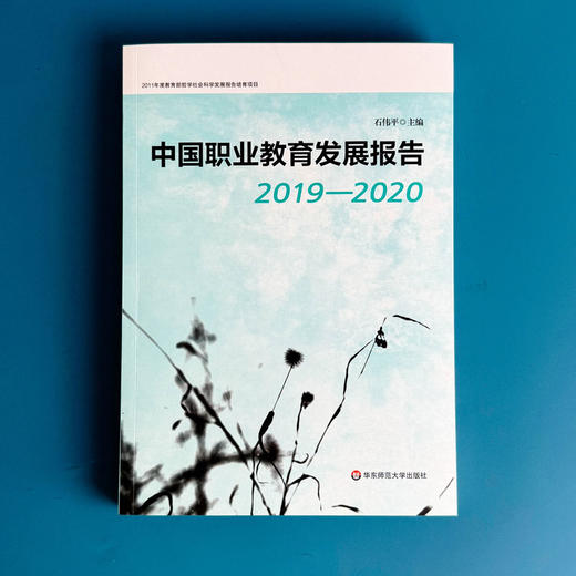 中国职业教育发展报告 2019—2020 石伟平主编 商品图1