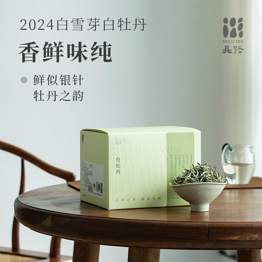 「2024春茶」白雪芽首采白牡丹特级福鼎白茶北路白茶新茶300g 商品图0