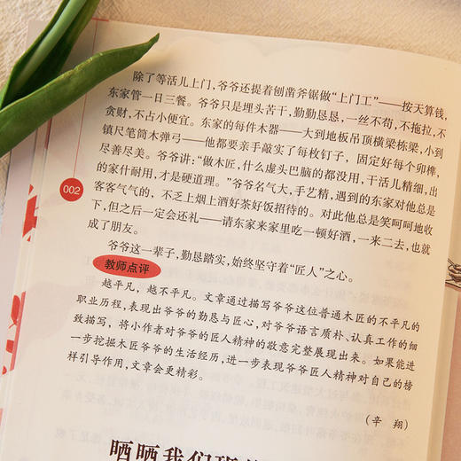 作文通讯精华本（全4册） 商品图4