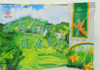 D银江金针菜100G 商品缩略图1