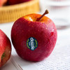 【乐刻内购】均礼新西兰丹烁苹果6个/12个进口新鲜水果顺丰包邮 商品缩略图3