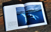 生命之灵：国际野生生物摄影年赛55年精选，甄选各个时期伟大的自然生态摄影作品 画册图书 商品缩略图5