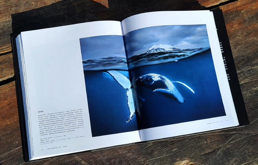 生命之灵：国际野生生物摄影年赛55年精选，甄选各个时期伟大的自然生态摄影作品 画册图书 商品图5
