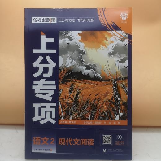 2025高考必刷题语文2现代文阅读 商品图0