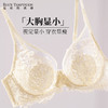 【蜜恋】夏娃的诱惑内衣女2026新款薄款大胸显小防下垂性感蕾丝文胸 商品缩略图4