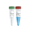 UniPeak U+ One Step RT-qPCR SYBR Green Kit 商品缩略图0