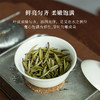 「2024春茶」白雪芽首采白牡丹特级福鼎白茶北路白茶新茶300g 商品缩略图3