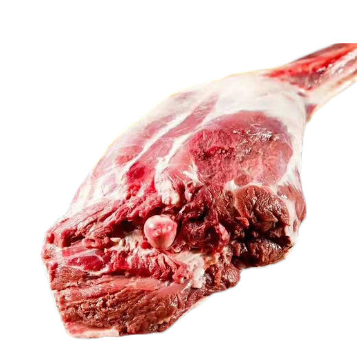 青海正宗草膘羊羊后腿肉5斤 青藏藏羊（正宗青海原产地）2500g 真空冷链包邮佰客基羊肉 商品图0