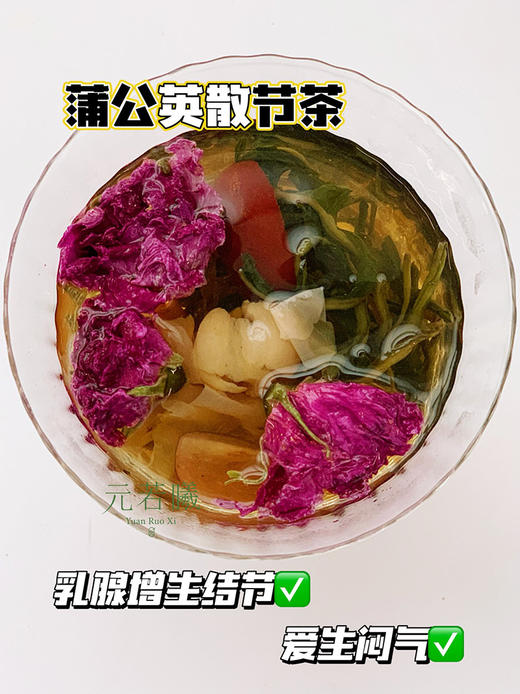 【蒲公英散节茶/知竹棠金银花柚子汁】科学配比，内调食疗！无香精，无色素，无防腐剂，0添加果汁 商品图1