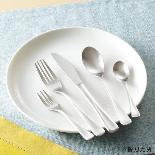 日本制不锈钢餐具 抗菌系列 餐勺/餐叉/汤勺/茶勺/黄油刀 商品图0