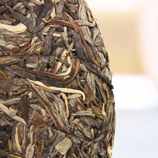 中粮-中茶 2024年易武生茶普洱茶云南普洱茶357克 /云南干仓直发 商品图3