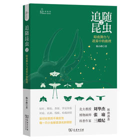 追随昆虫2：暗夜舞台与迷雾中的推理(自然感悟)