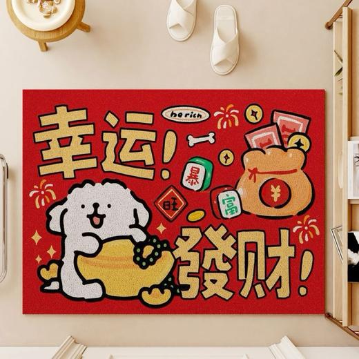 【隐藏污泥 表面不显脏】少女心可爱卡通丝圈地垫 入户门卡通地垫 创意线条狗 可爱蜡笔小新 脚垫防滑蹭玄关垫-QQ 商品图12