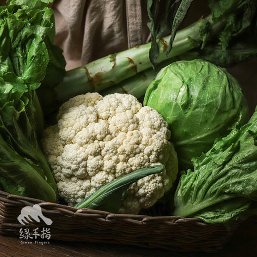 生态洛阳蔬菜箱 | 合作生产* ecological soybean | Coproduction 商品图3