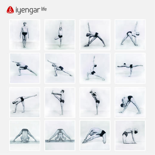 艾扬格 Life 艾扬格大师体式照片挂画  瑜伽场馆气氛装修 8张起售（挂画大小：25CM*25CM） 商品图6