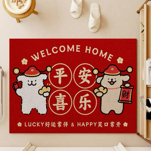 【隐藏污泥 表面不显脏】少女心可爱卡通丝圈地垫 入户门卡通地垫 创意线条狗 可爱蜡笔小新 脚垫防滑蹭玄关垫-QQ 商品图13