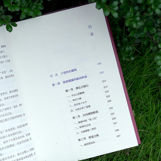 天有二日 禅让时期的大清朝政 卜键著 商品图2