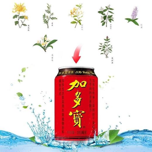 加多宝凉茶植物饮料 310ml*24罐 商品图1