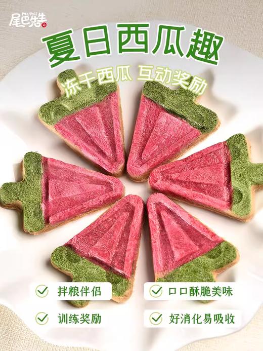 猫狗通用 雪糕冻干  （含蔬果与肉） 商品图1