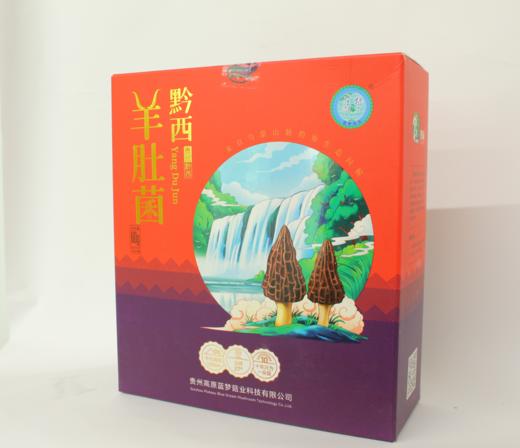 D高原蓝梦黔西羊肚菌60g（15g/袋*4） 商品图1