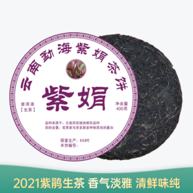 【会员日直播】紫娟 2021年普洱生茶 400g/饼 买一送一 买三送四