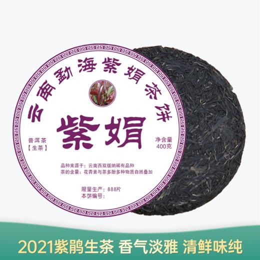 【会员日直播】紫娟 2021年普洱生茶 400g/饼 买一送一 买三送四 商品图0