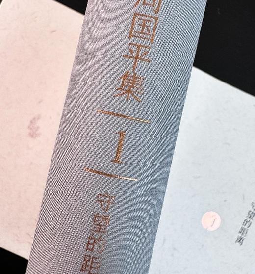 《周国平集》，精装，32开，全26册，周国平著，青岛出版社2016年一版一印，10560页，定价2000，售价499元。 商品图4