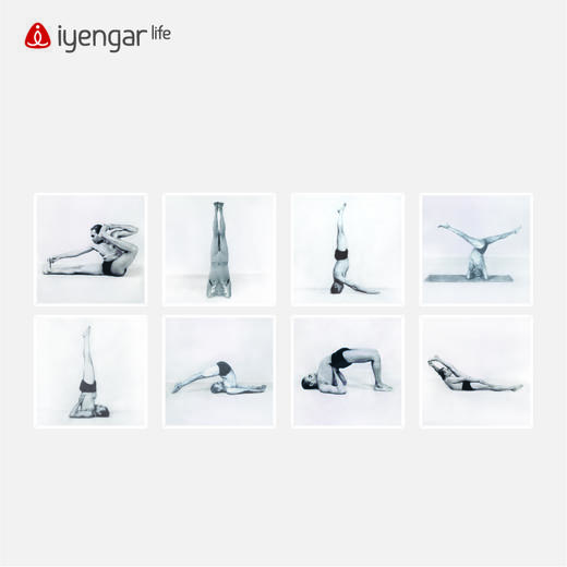 艾扬格 Life 艾扬格大师体式照片挂画  瑜伽场馆气氛装修 8张起售（挂画大小：25CM*25CM） 商品图5