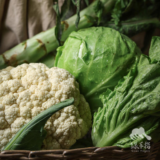 生态洛阳蔬菜箱 | 合作生产* ecological soybean | Coproduction 商品图2