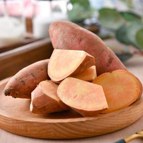 沙田蜜薯 红薯 约500g/袋