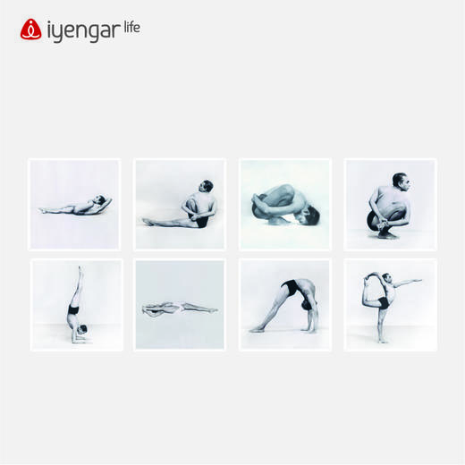 艾扬格 Life 艾扬格大师体式照片挂画  瑜伽场馆气氛装修 8张起售（挂画大小：25CM*25CM） 商品图4