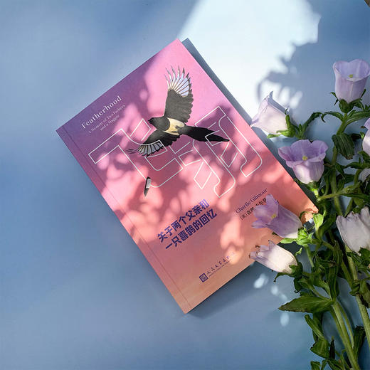 飞羽：关于两个父亲和一只喜鹊的回忆 商品图2