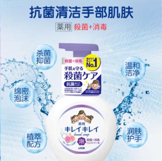狮王泡沫除菌洗手液250ml 商品图1