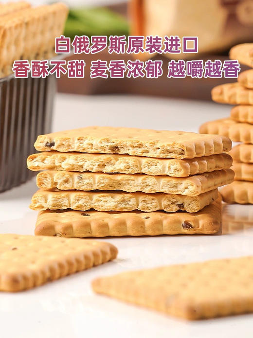 220g思斯巴达克牌亚麻籽饼干56 商品图1