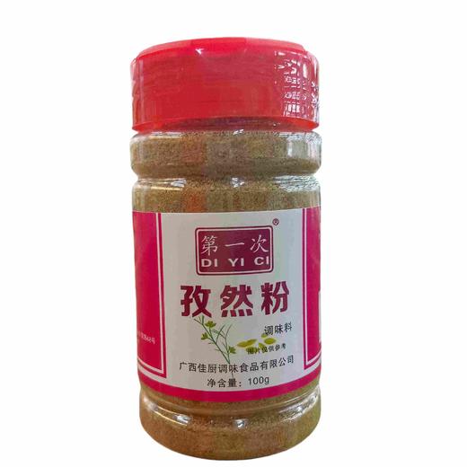 第一次孜然粉 100g/瓶 商品图0