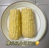 巴萌关小二黄金玉米段，来自巴彦淖尔河套平原，口感确实不一样 商品缩略图10