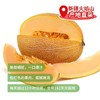 新疆哈密瓜（2300±100g）多退少补 商品缩略图0