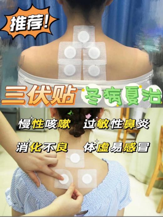 ✌【到手6盒】瑶辰三伏贴：南阳张仲景中医研究院联合研发🌿 商品图3