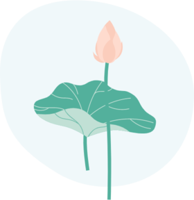 夫妻间的秘密，床的大小真的有关系！